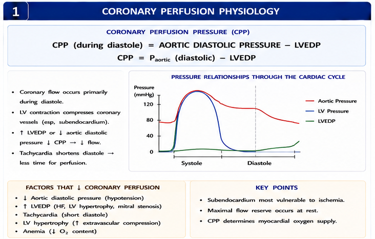 Panel 1 of Coronary perfusion pressure
