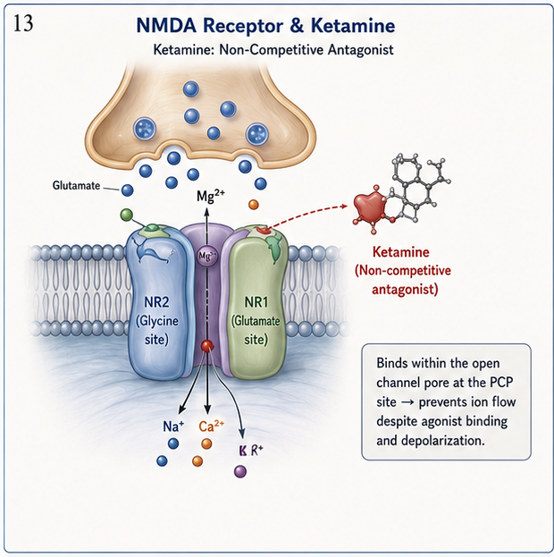 Panel 1 of NMDA receptor & ketamine