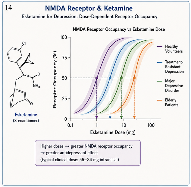 Panel 2 of NMDA receptor & ketamine