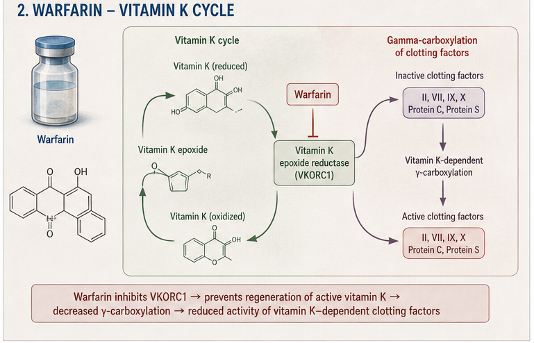Panel 2 of Anti-thrombin mechanism