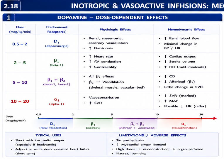Panel 1 of Dopamine & softronic infusions