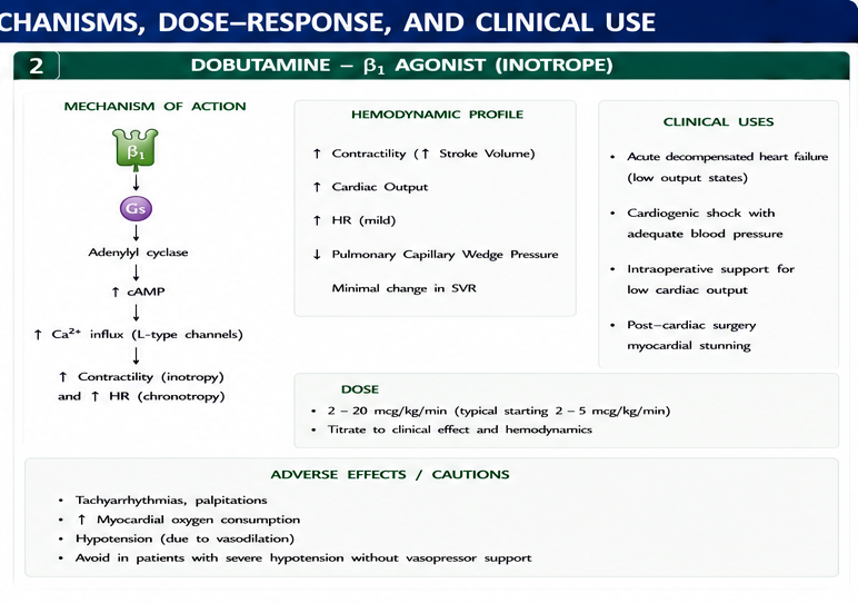 Panel 2 of Dopamine & softronic infusions