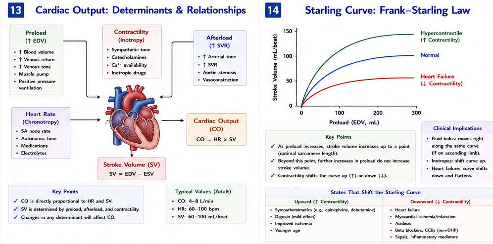 Panel 1 of Cardiac output, determinants & relationships