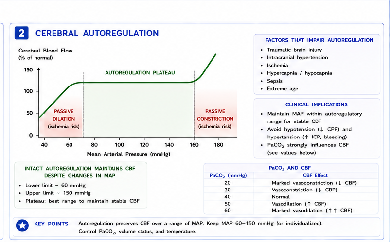 Cerebral autoregulation