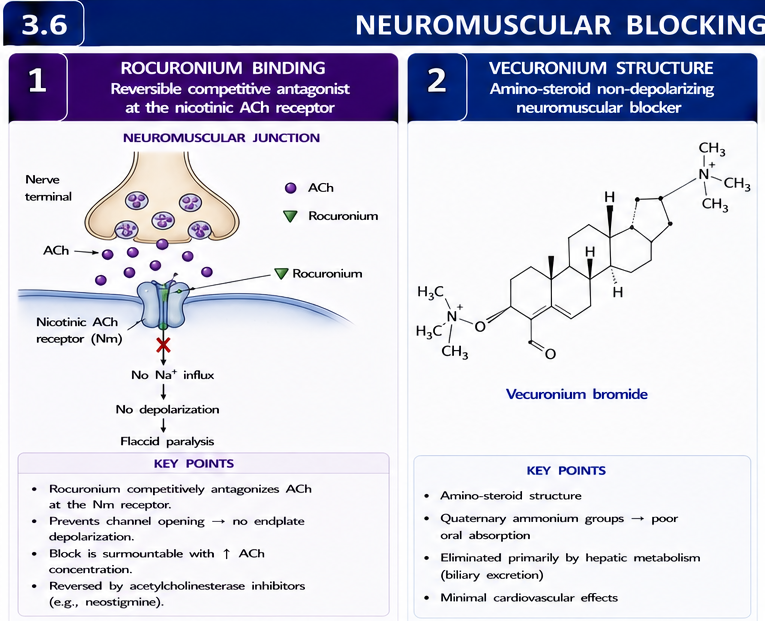 Panel 1 of Neuromuscular blocking