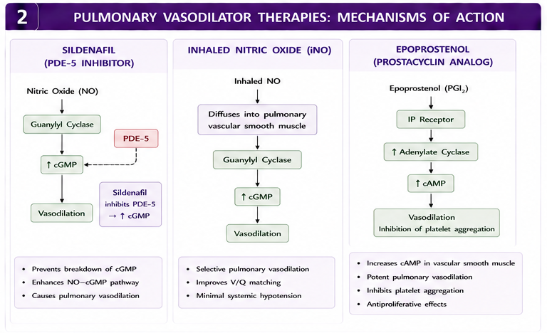Panel 2 of Pulmonary artery pressure