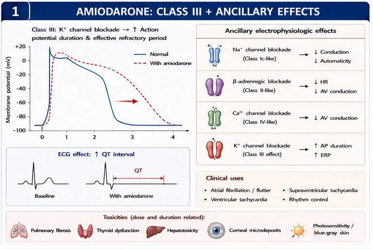 Panel 1 of Amiodarone + class III antiarrhythmic drugs