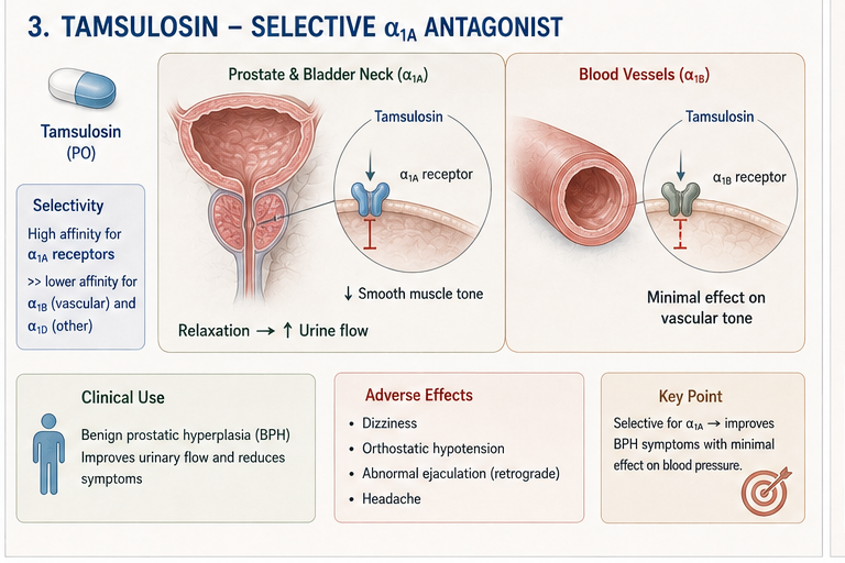 Panel 3 of Phenylephrine - pure & agonist