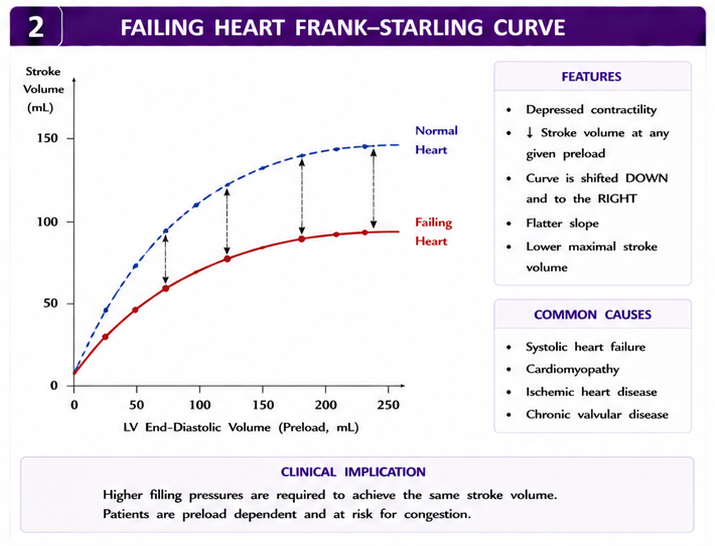 Failing heart curve below normal