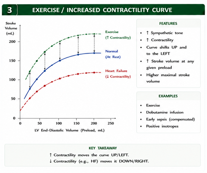 Exercise curve above normal