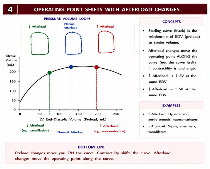 Operating point shifts with afterload changes