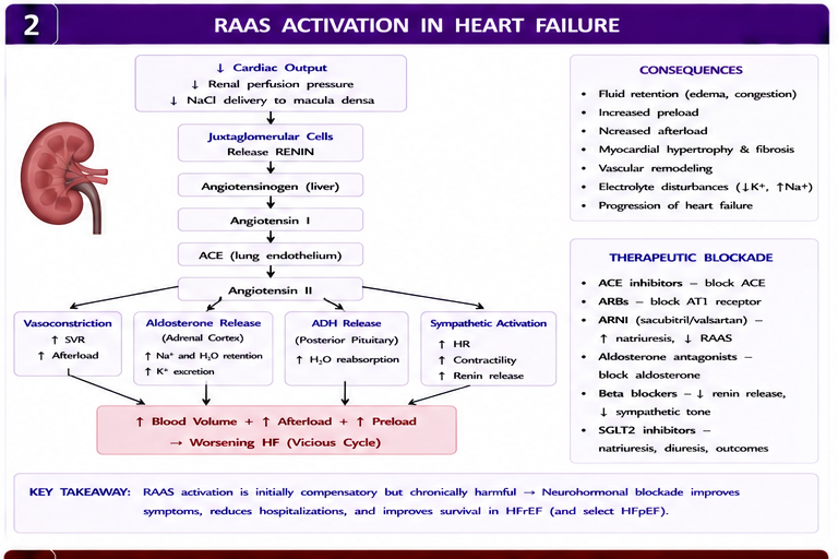 Panel 2 of Synthetic vs Diastolic Heart Failure