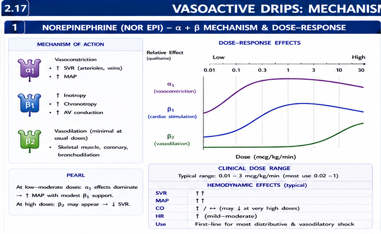 Panel 1 of VASO ACTIVITY