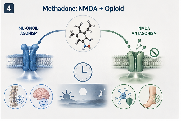 Panel 4 of MU vs Delta receptor effects