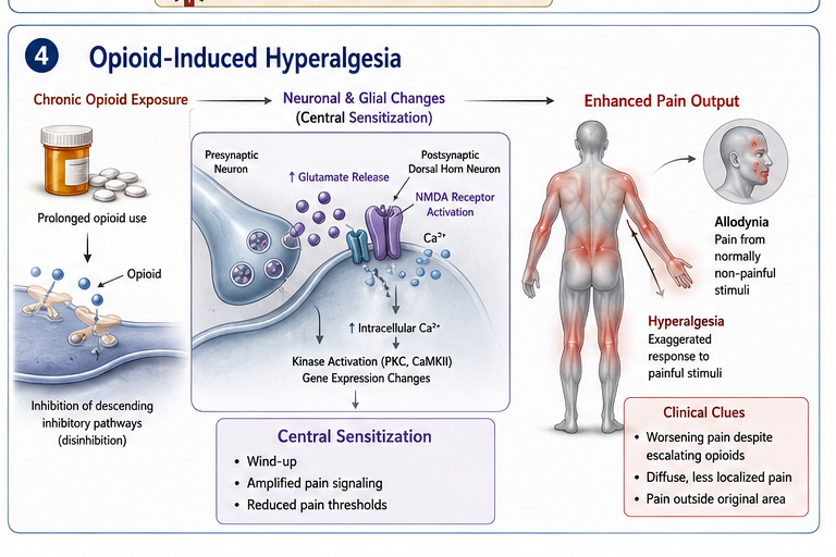 Panel 4 of Buprenorphine partial agonist