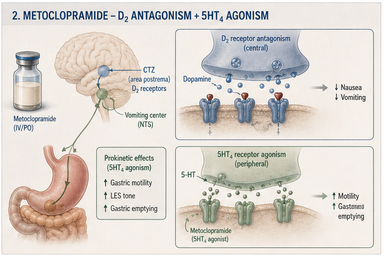 Panel 2 of Ondansetron - SHT2 antagonism