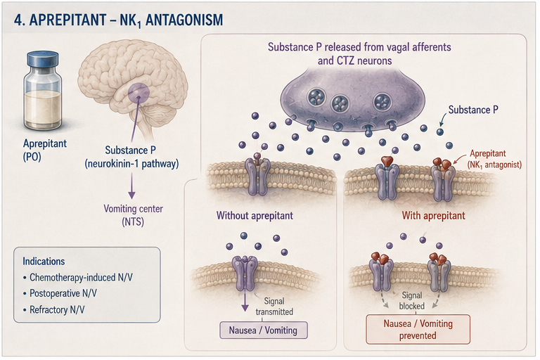 Panel 4 of Ondansetron - SHT2 antagonism