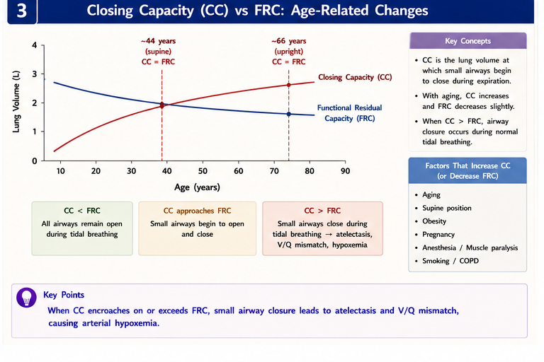 Closing capacity vs FRC by age — supine vs upright