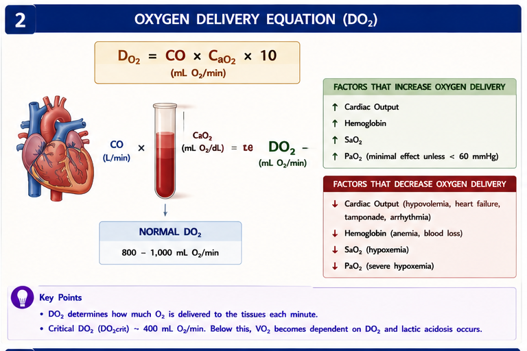Oxygen delivery DO2 = CO × CaO2 × 10